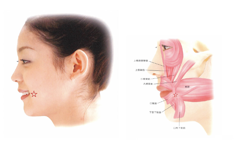 出典／「口腔からのウェルエイジング」クイントエッセンス社